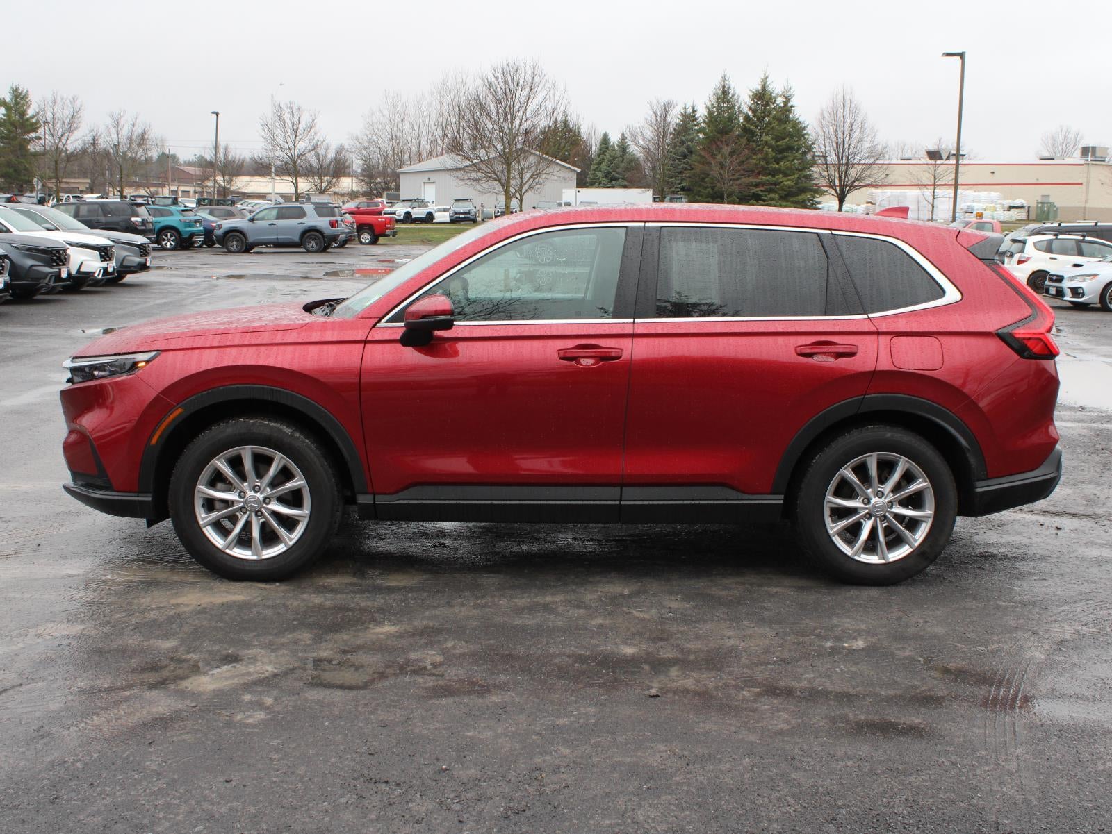 2025 Honda CR-V EX All Wheel Drive CVT