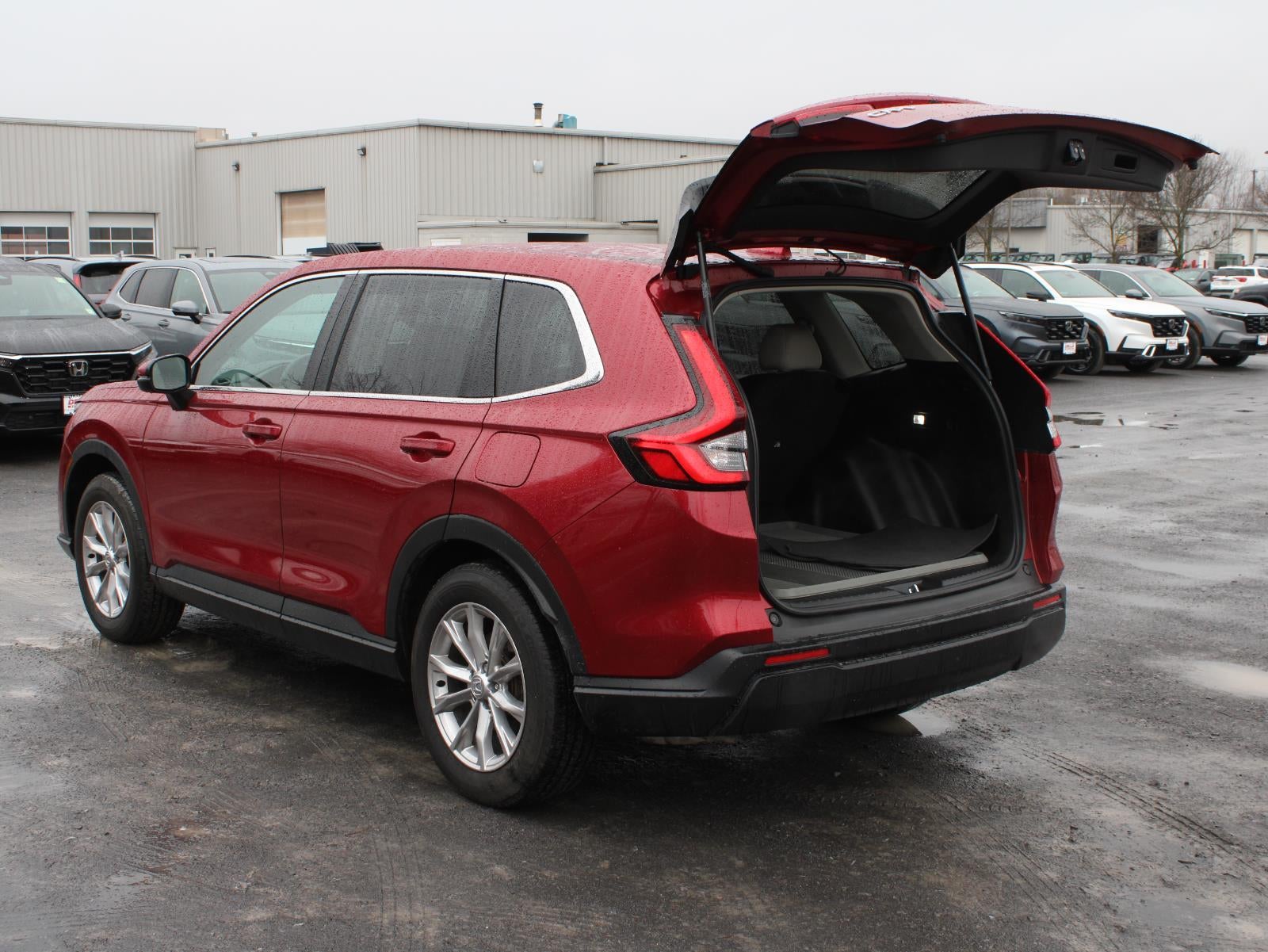 2025 Honda CR-V EX All Wheel Drive CVT