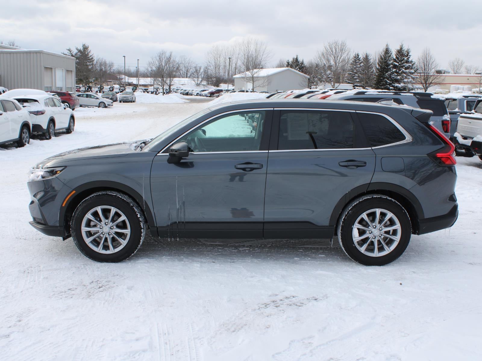 2025 Honda CR-V EX-L All Wheel Drive CVT