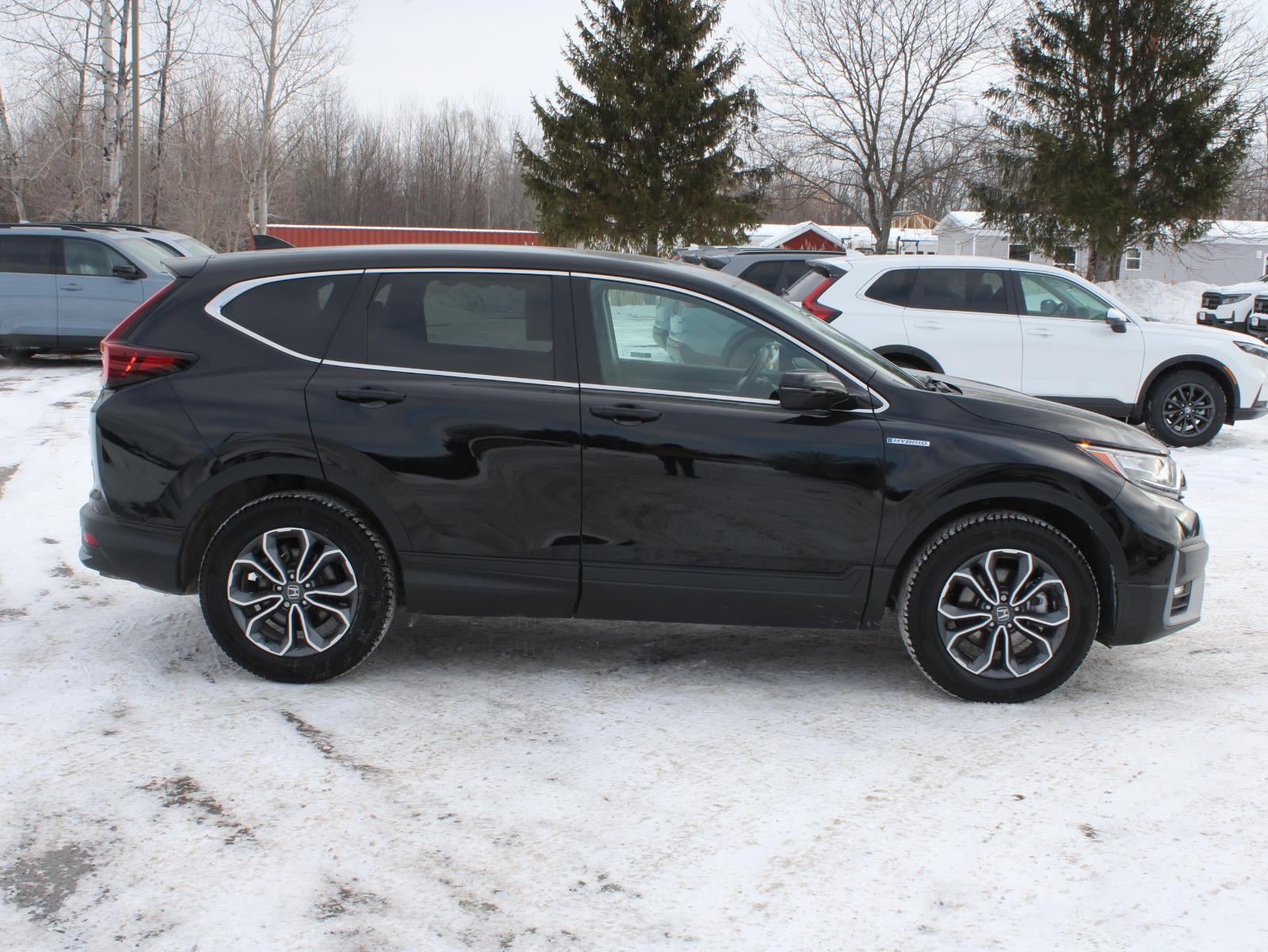 2022 Honda CR-V Hybrid EX-L All Wheel Drive CVT