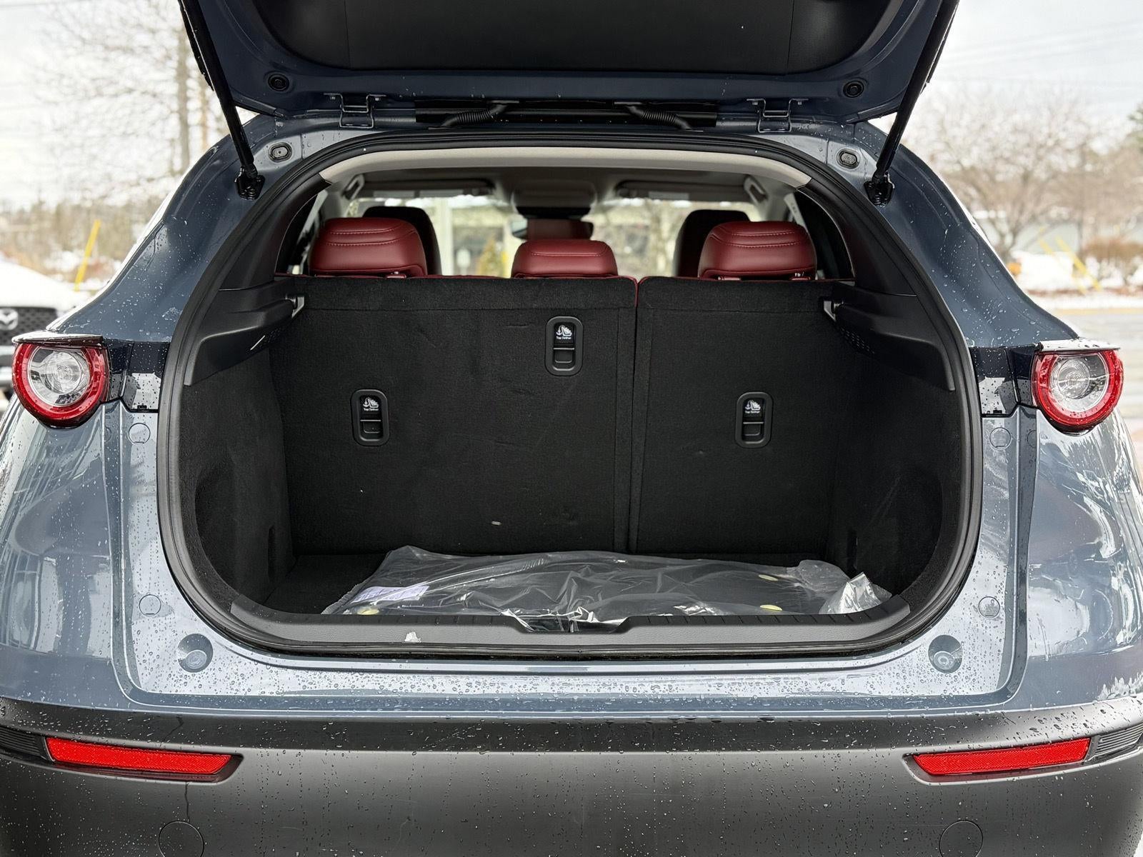 2025 Mazda Mazda CX-30 2.5 S Carbon Edition